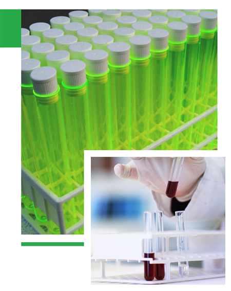 新沂美景化學(xué)科技有限公司